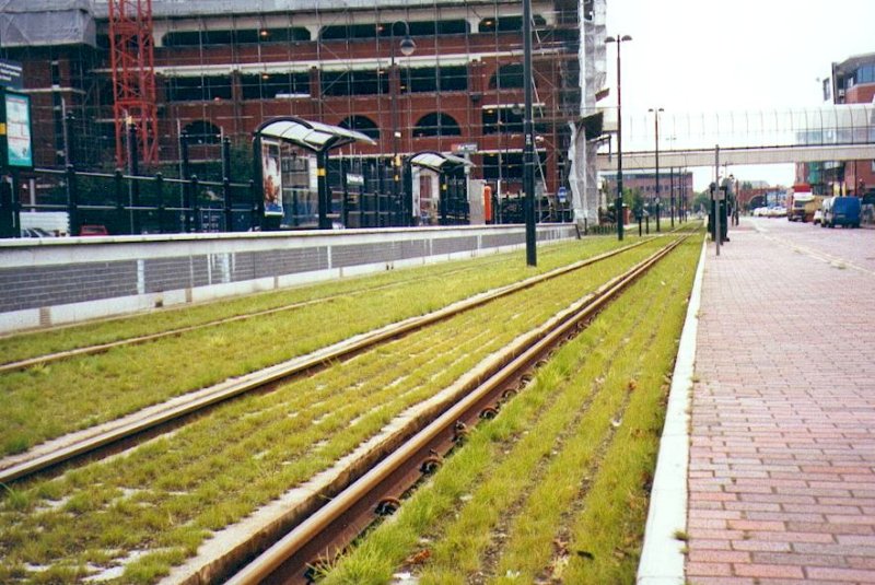 lightrailtrack2.jpg