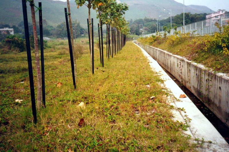 floodstorage3.jpg