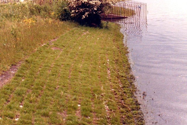 lakeembankment2.jpg
