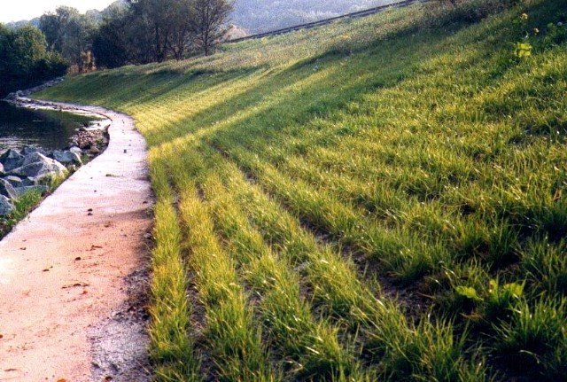riverembankment.jpg